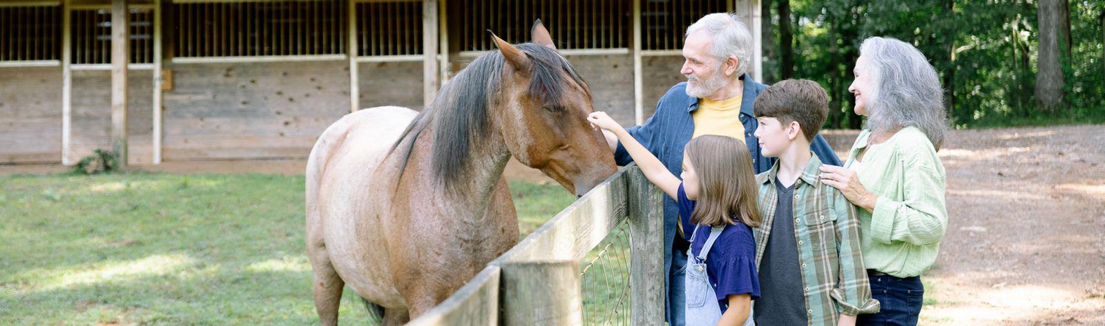 grandparents with grandkids petting horse